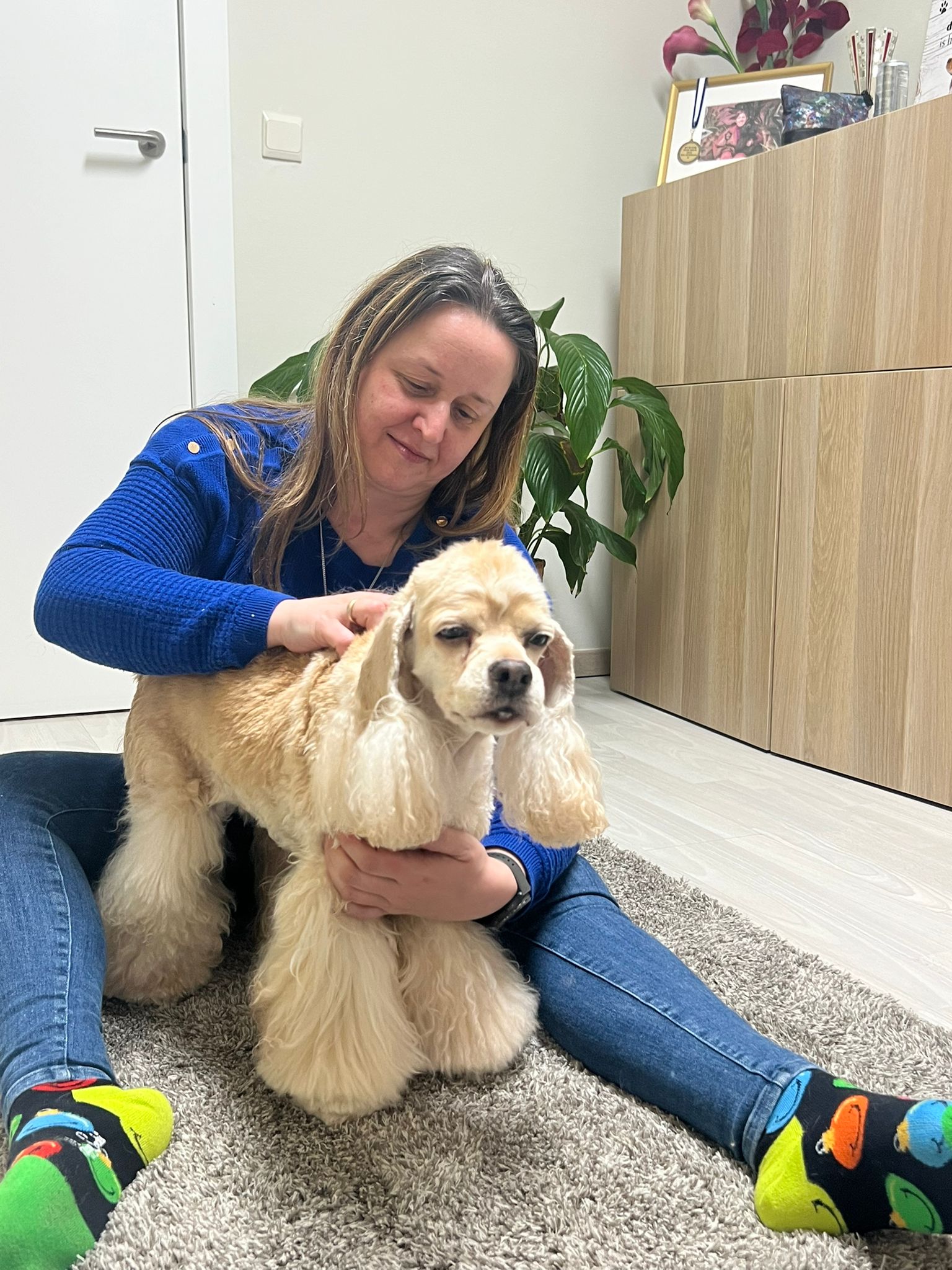 Conny Lanno, hondenmassage